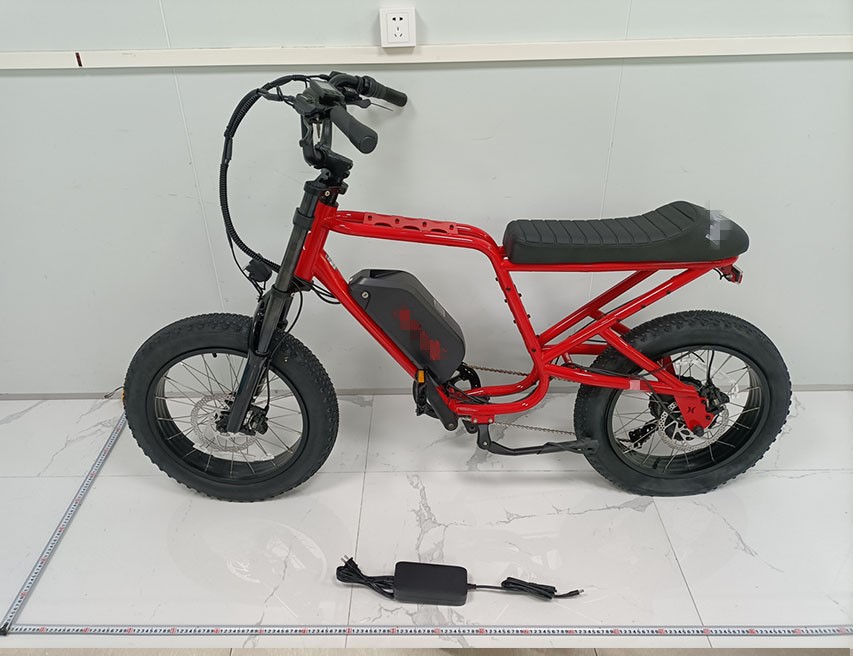 自行車合作案例19