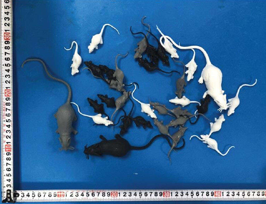 玩具合作案例10