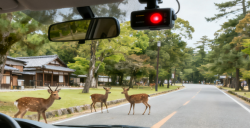 行車記錄儀日本TELEC認證：不辦它，難在日本市場立足！