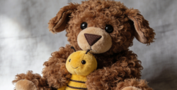 CPC認證不可缺；2026亞馬遜毛絨玩具新規(guī)緊急預(yù)警：合規(guī)不達標直接下架