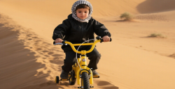 兒童自行車質(zhì)檢報(bào)告辦理周期與檢測項(xiàng)目：如何確保產(chǎn)品符合標(biāo)準(zhǔn)？