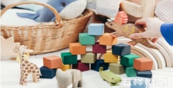 亞馬遜不同國家|玩具法規(guī)要求指南